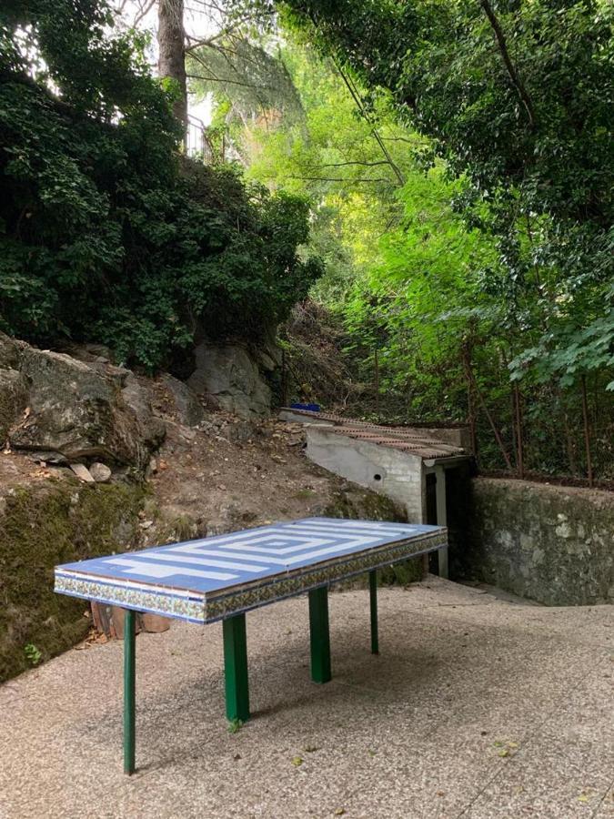 El Molino Gavilanes